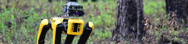 {vehicle} header image